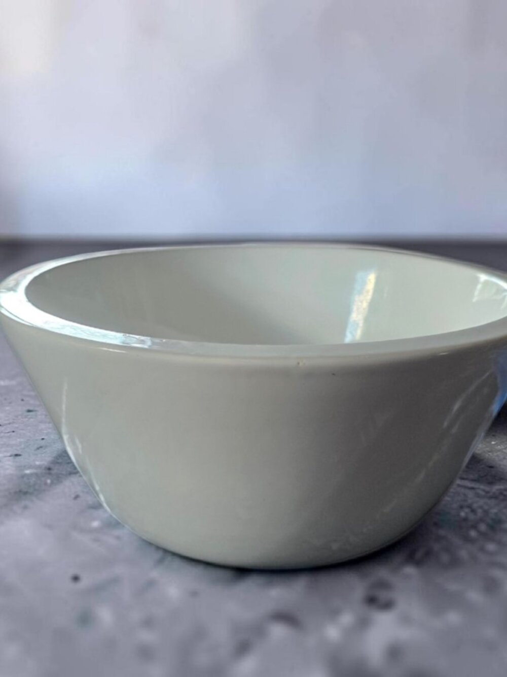 Vintage PIER 1 RARE Wide Rim White Ceramic Bowl 10.5" x 5"